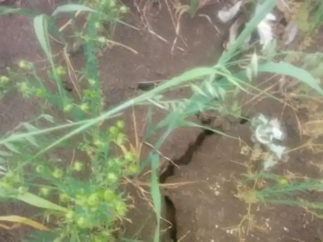 Կոտայքի մէջ եւս երաշտի վտանգը երեւելի է