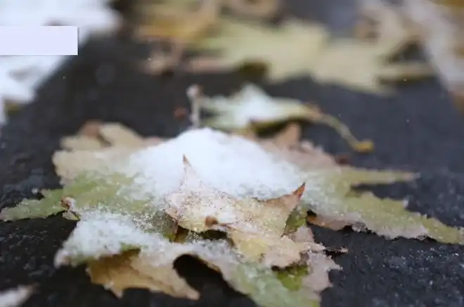 Յառաջիկայ օրերուն՝ ձիւնաթափ