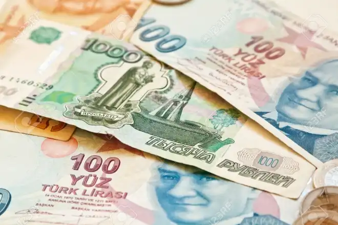 Գերմանացի պատասխանատու մը  խօսած է  Թուրքիոյ տրամադրուող  օգնութիւնները առկախելու մասին
