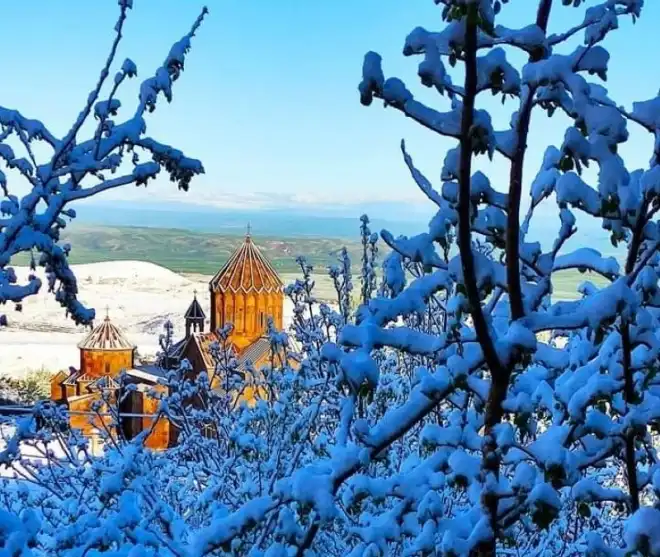 Շիրակի մարզի ծառերը ձիւնի տակ