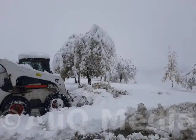 Վրաց-Հայկական սահմանը փակ էր. Պատճառը ինքնաշարժներու կուտակումներն են